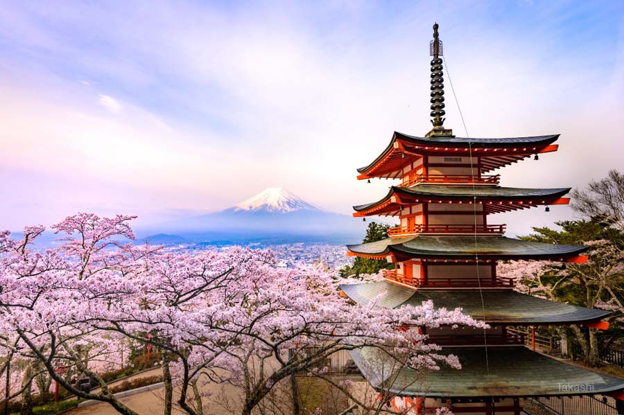 日本春天：TAKASHI
