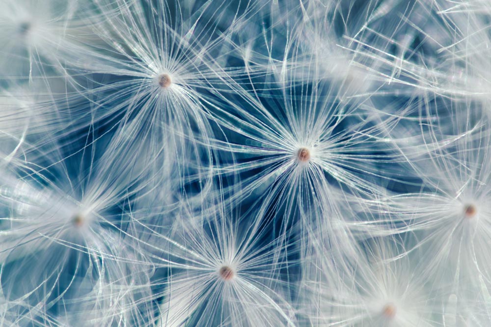 使用NiSi近摄镜拍摄