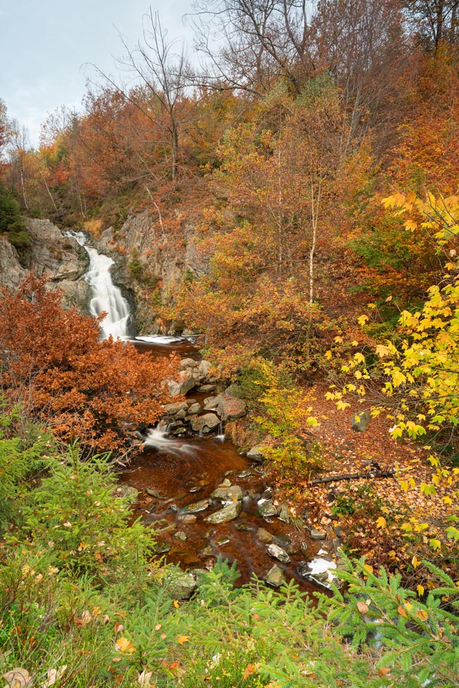 With 3 stop med grad_2x_Nisi Switch