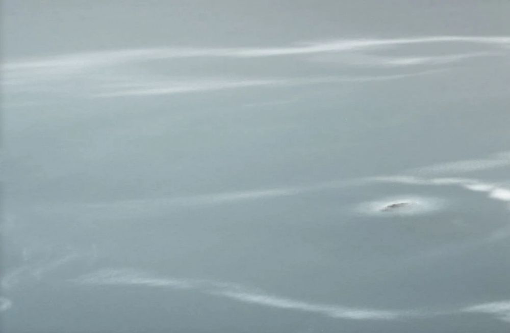 使用滤镜拍黑色