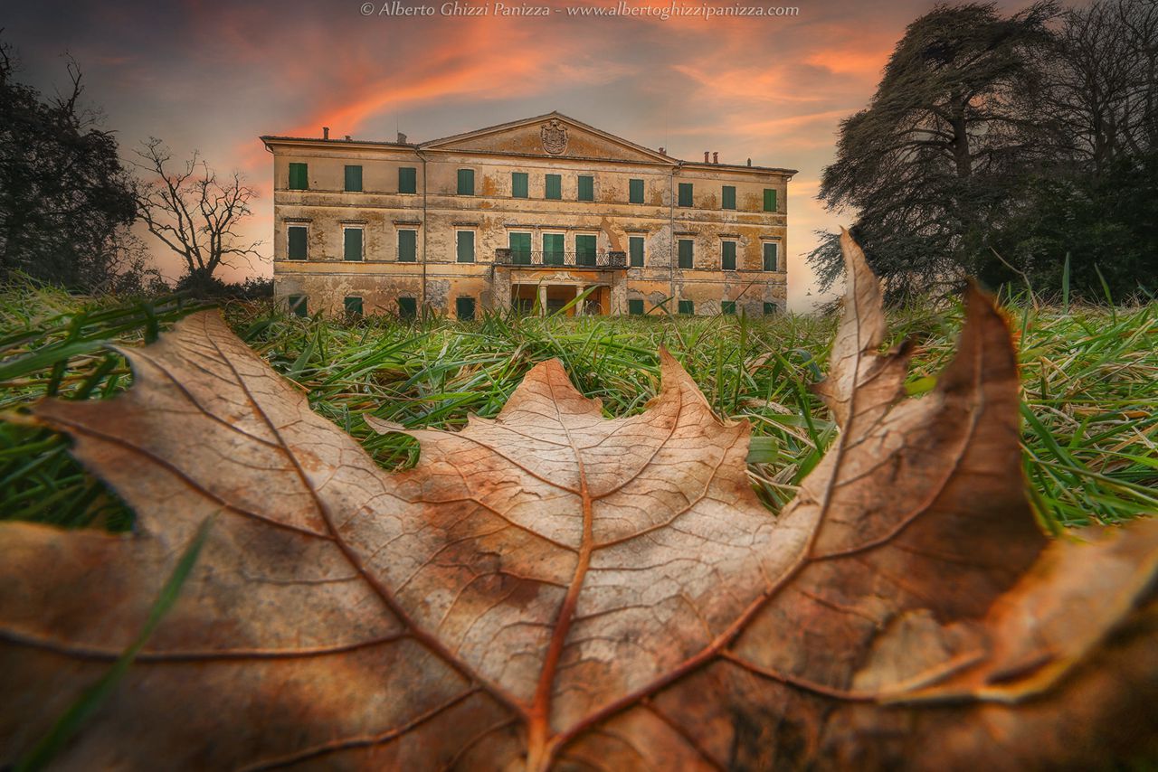 Alberto Ghizzi Panizza