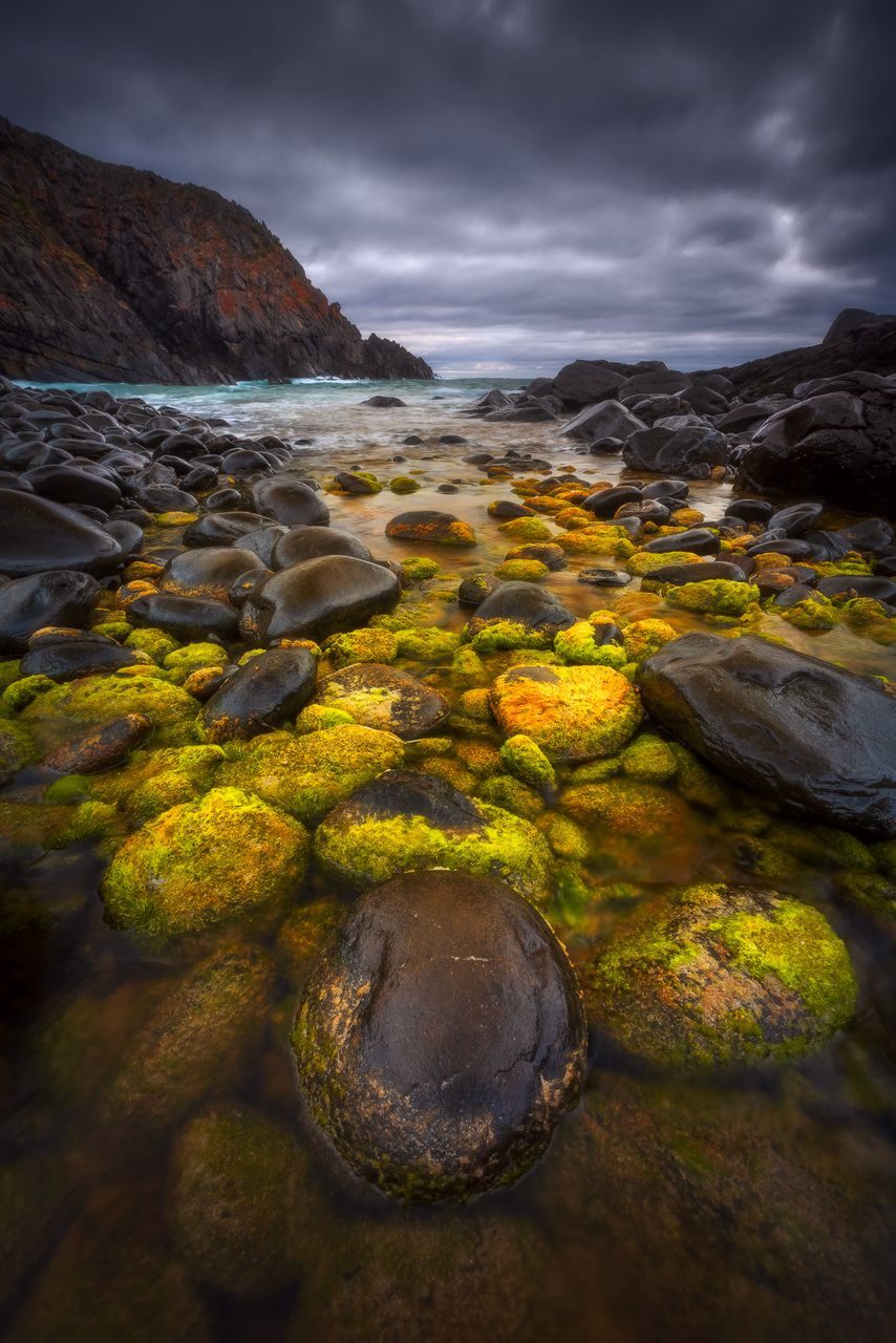 Dylan Toh 2