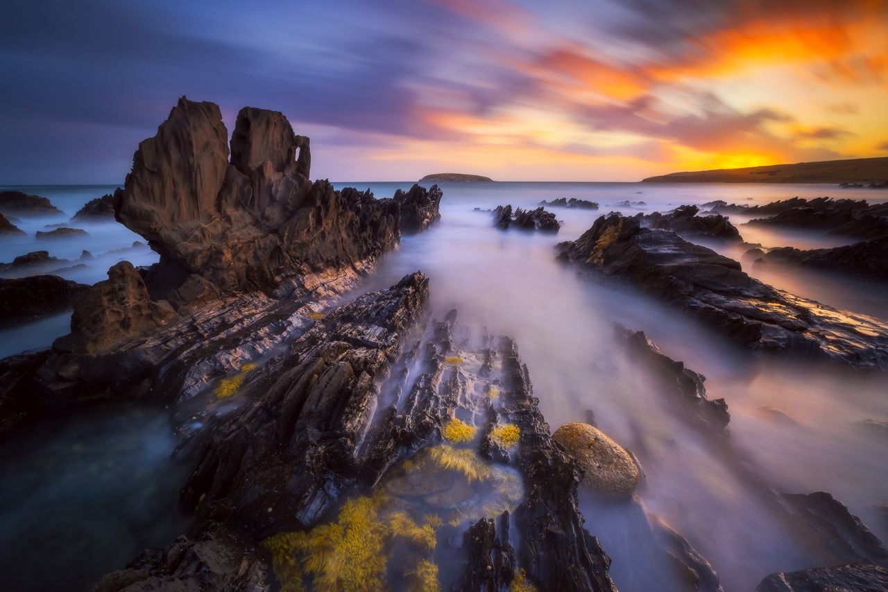 Dylan Toh 3