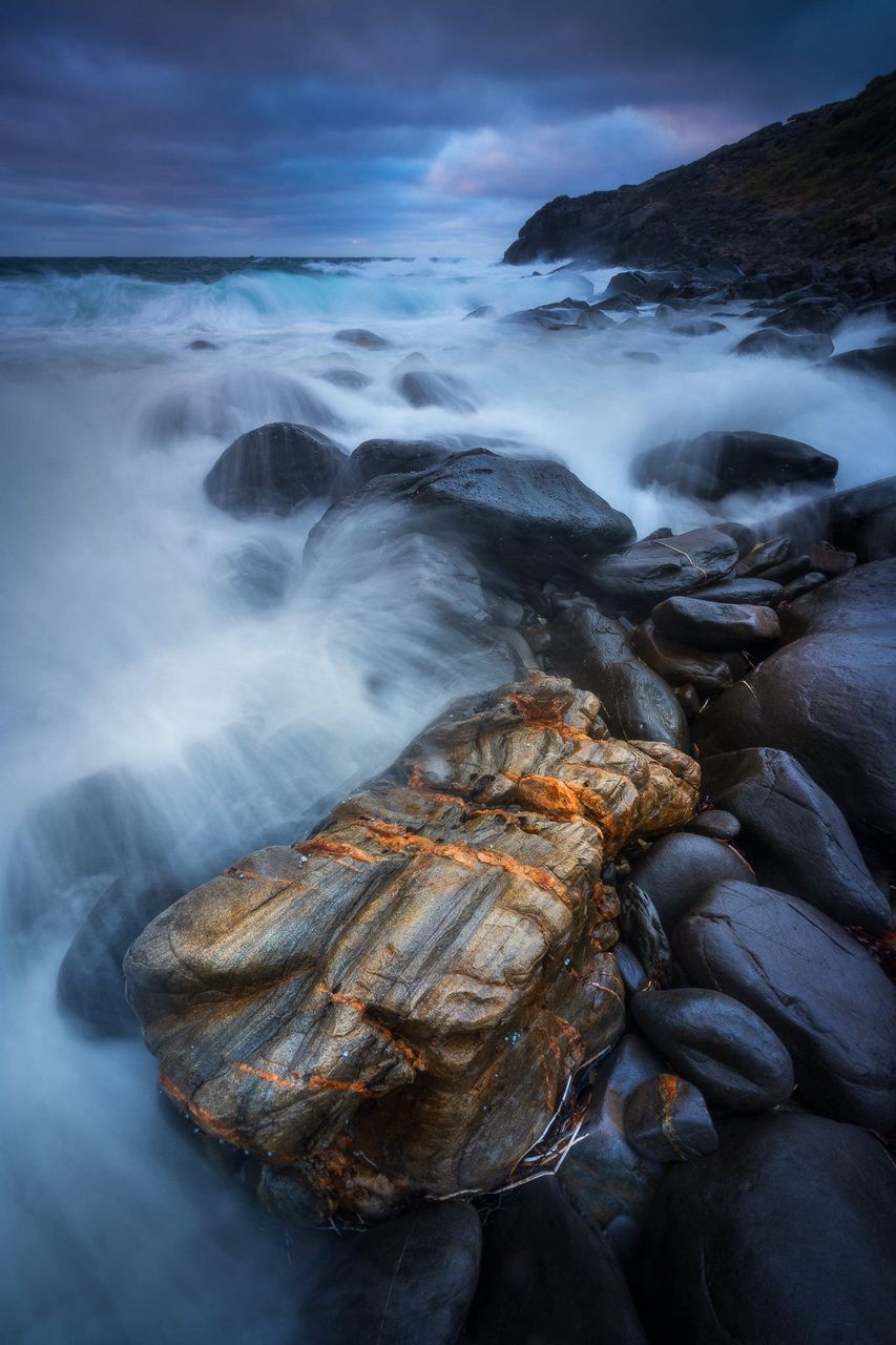 Dylan Toh