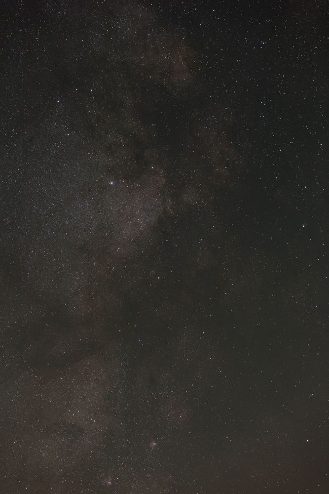 star-soft-reviews (8)